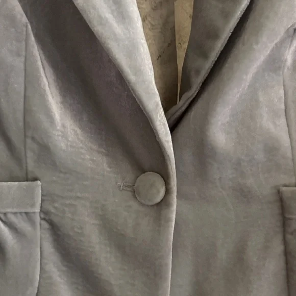 Elegant Silver Velvet Blazer - Picture 3 of 6